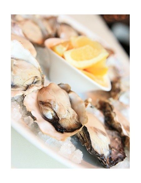 JAPANESE OYSTER LARGE 80-100gr