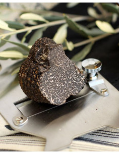 FRESH BLACK TRUFFLE 2