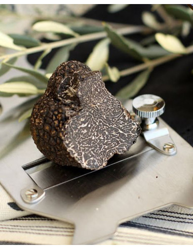 FRESH BLACK TRUFFLE