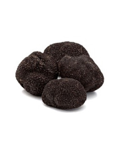 Australian Winter Black Truffle