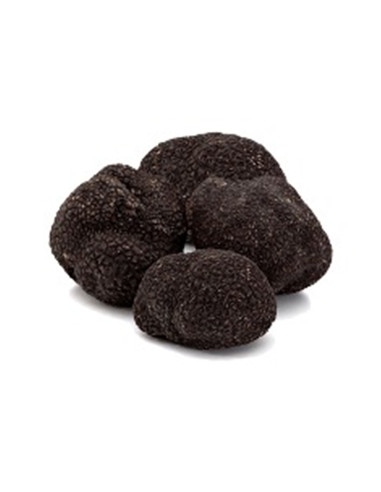 Australian Winter Black Truffle
