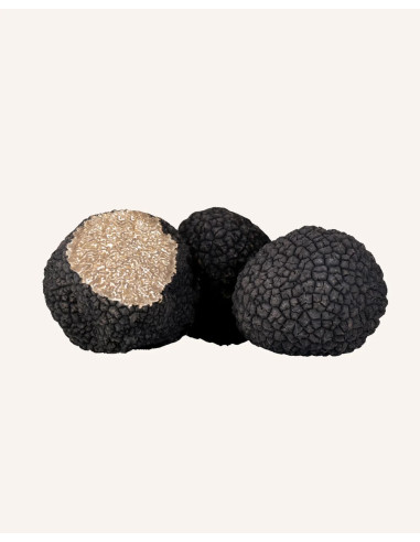 Italian Summer Black Truffle