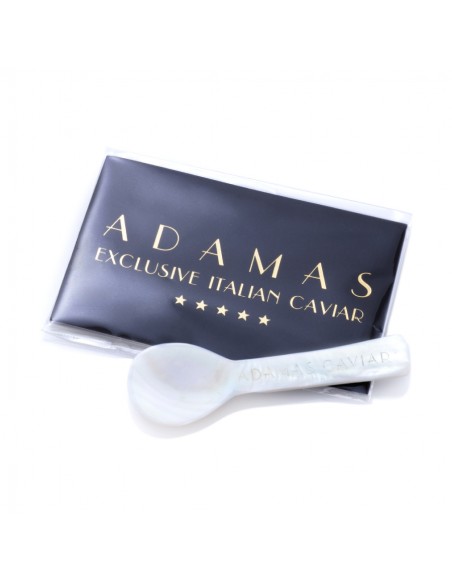 THE MOTHER OF PEARL SPOON SMALL