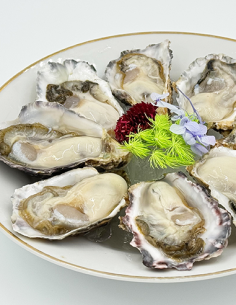 JAPANESE OYSTER SMALL 50-60gr 2