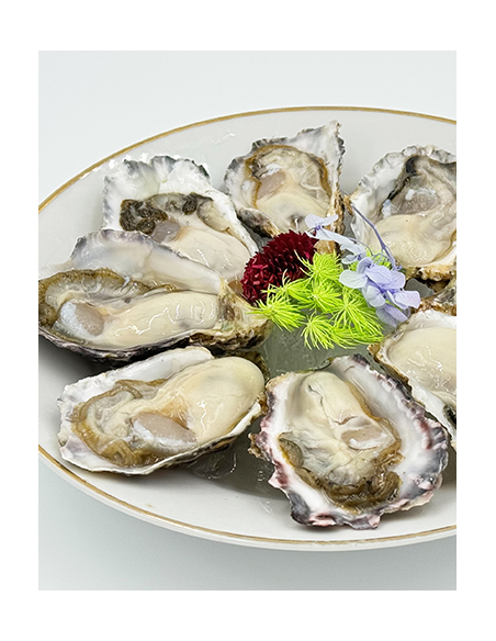 JAPANESE OYSTER SMALL 50-60gr
