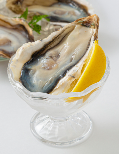 JAPANESE OYSTER SMALL 50-60gr