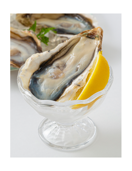 JAPANESE OYSTER SMALL 50-60gr